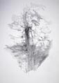 disegno 13