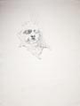disegno 8